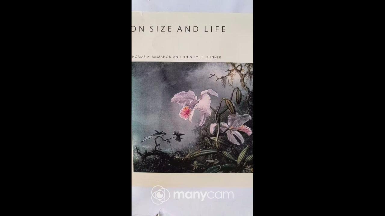 On Size and Life