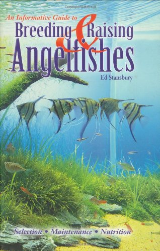 Breeding & Raising Angelfishes