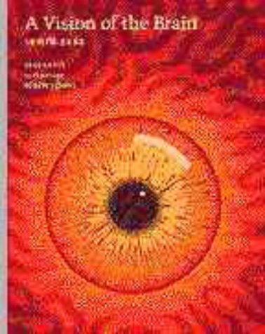 Vision of the Brain
