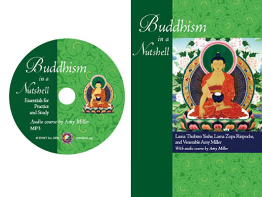 Buddhism in a Nutshell, Essentials for Practice and Study