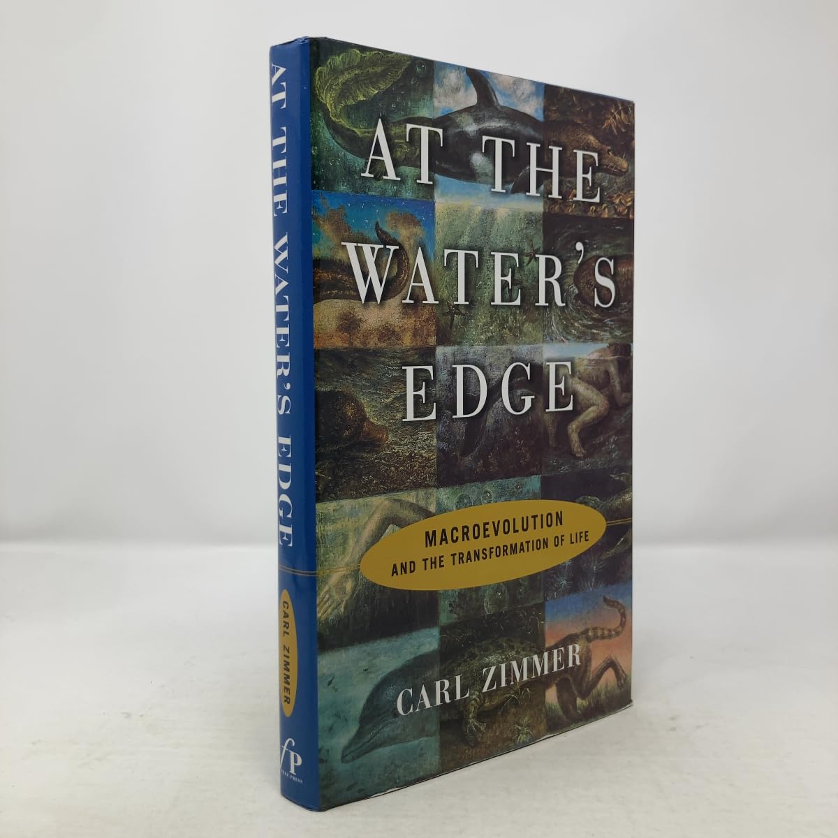 At the Water's Edge : Macroevolution and the Transformation of Life