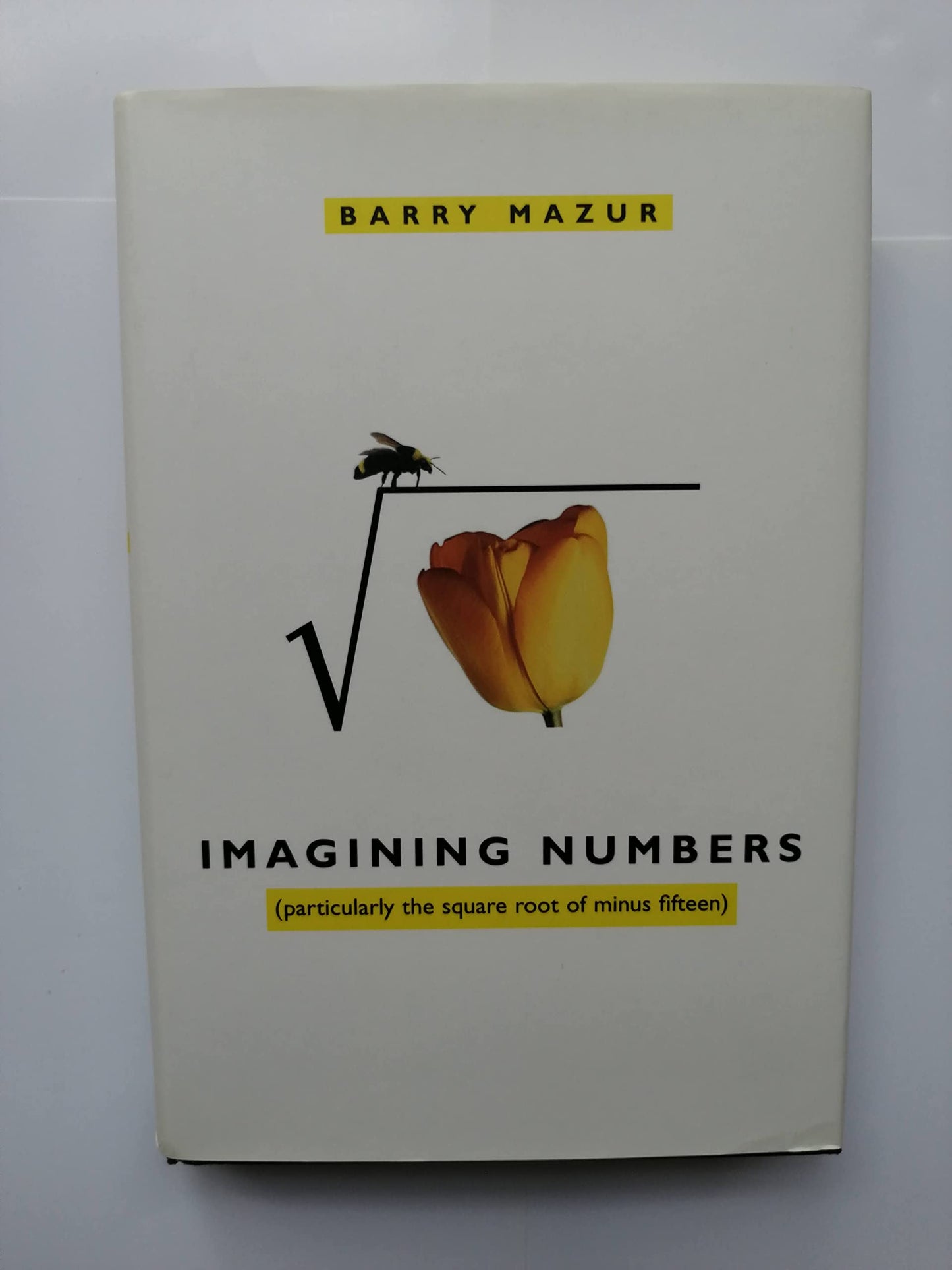 Imagining Numbers: (particularly the square root of minus fifteen)