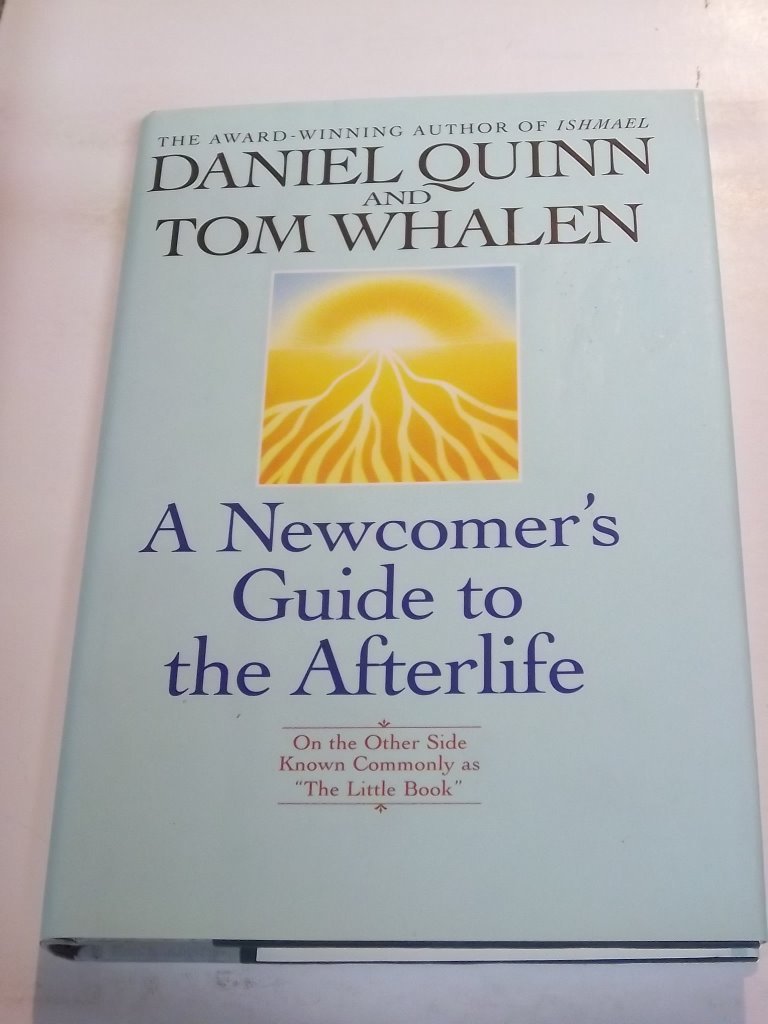 A Newcomer's Guide to the Afterlife