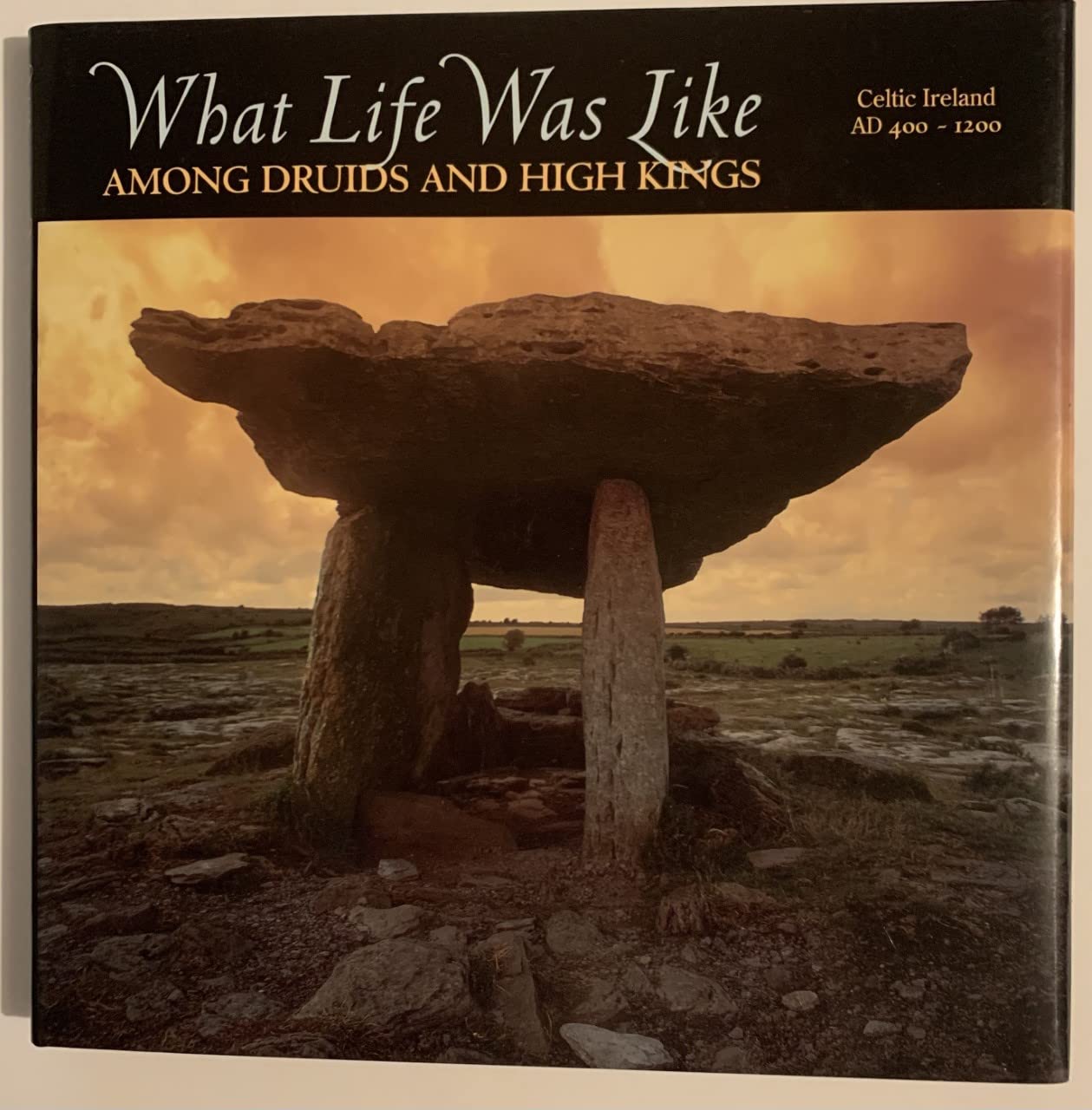 What Life Was Like Among Druids And High Kings (Celtic Ireland AD 400-1200)