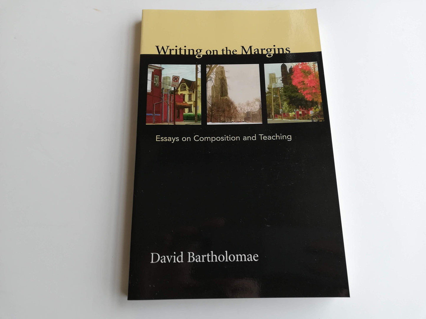 Writing on the Margins: Essays on Composition and Teaching