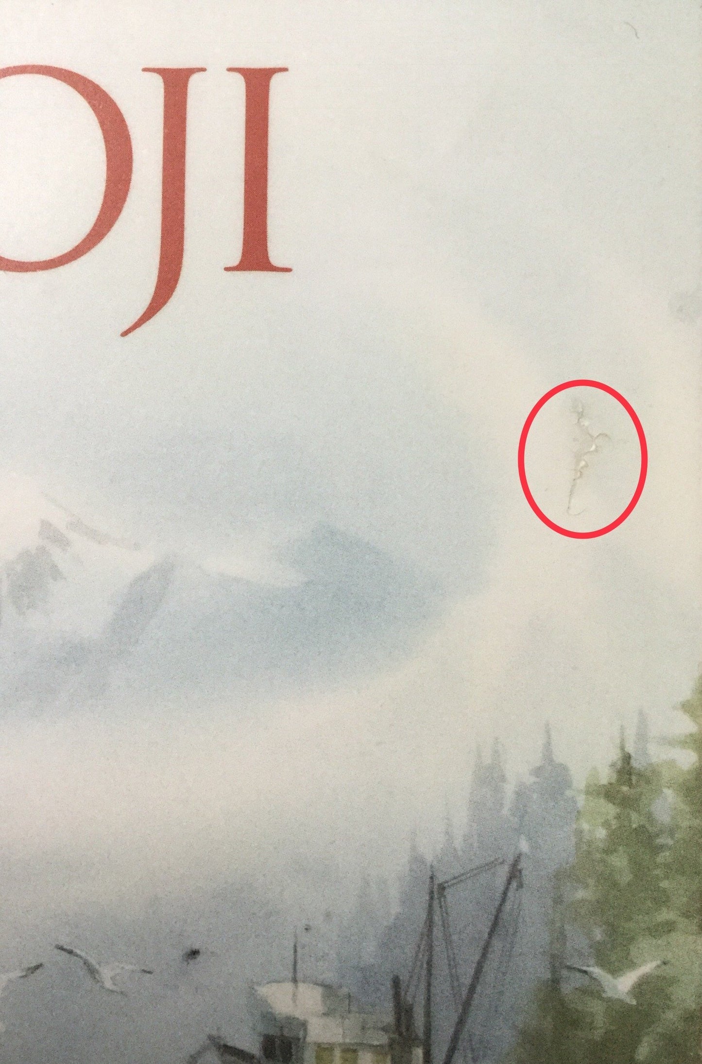 Bijaboji: North to Alaska by Oar