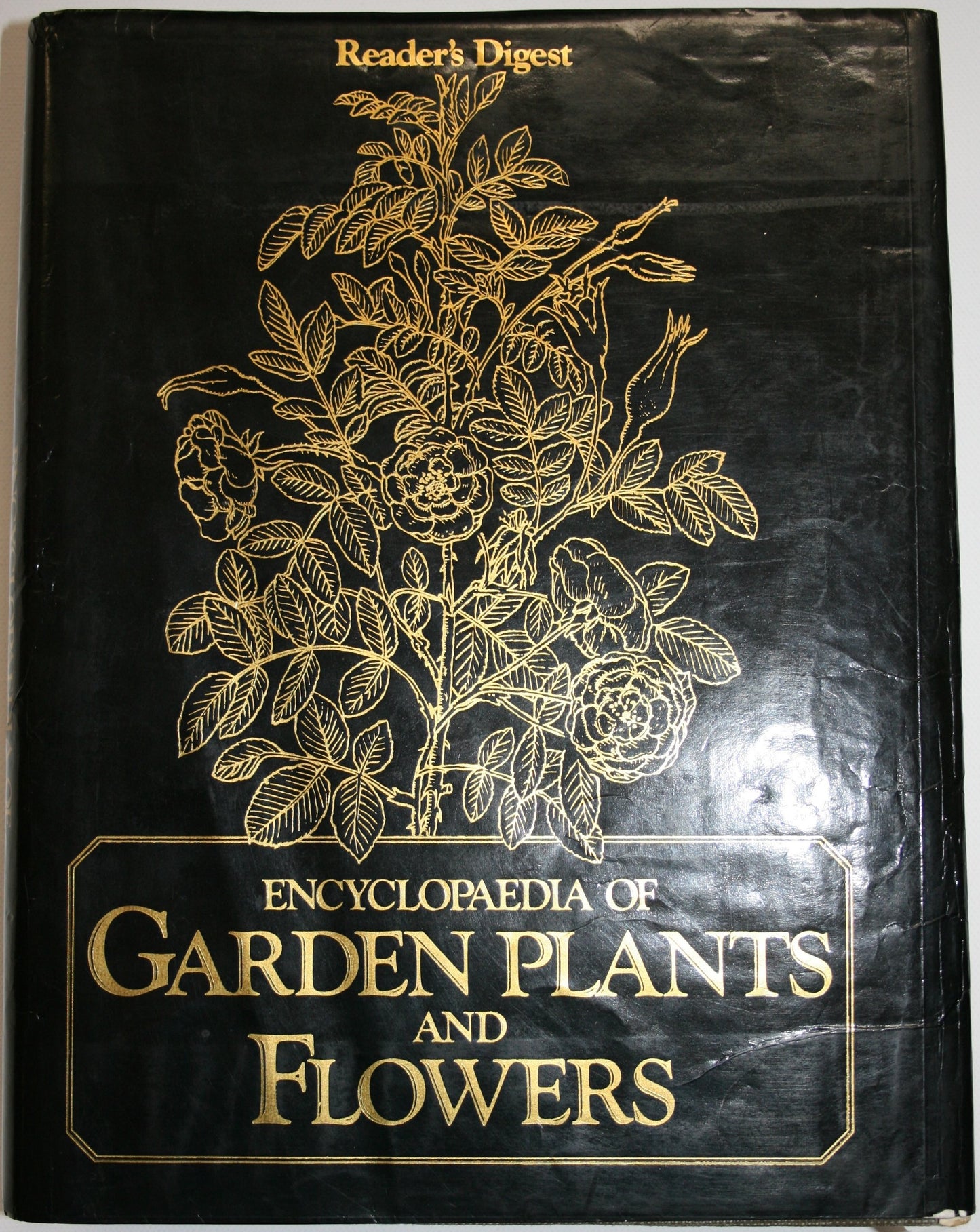 Reader's Digest Encyclopaedia of Garden Plants and Flowers