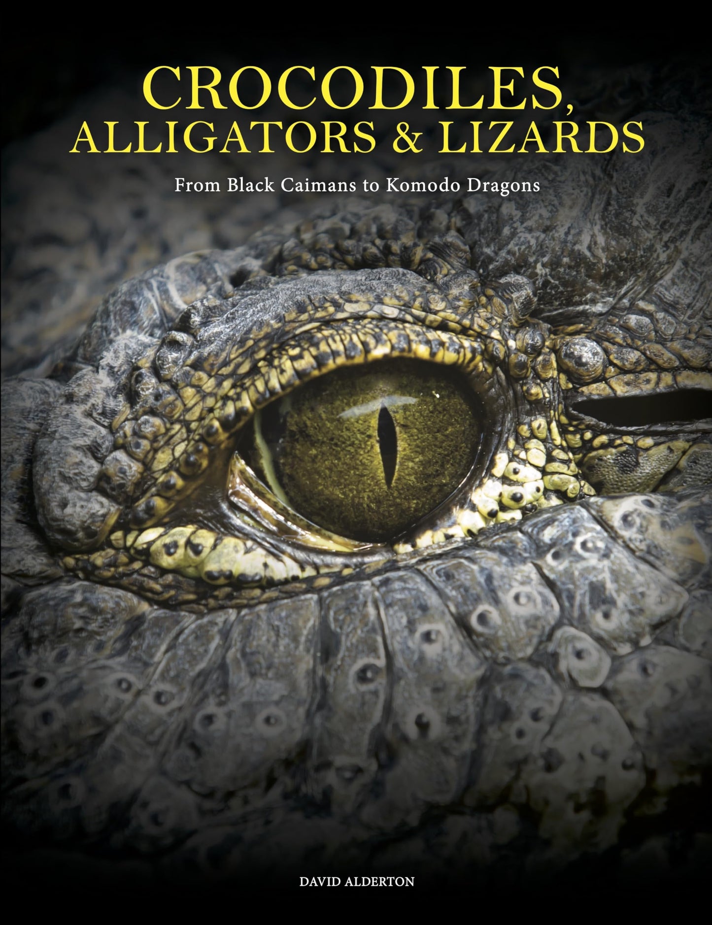 Crocodiles, Alligators & Lizards: From Black Caimans to Komodo Dragons (Animals in Photographs)