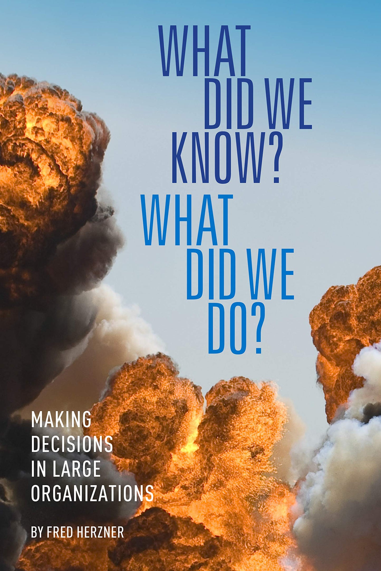 What Did We Know? What Did We Do?: Making decisions in large organizations