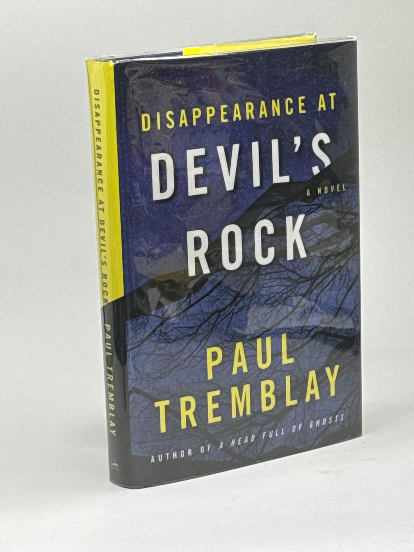 Disappearance at Devil's Rock: A Novel