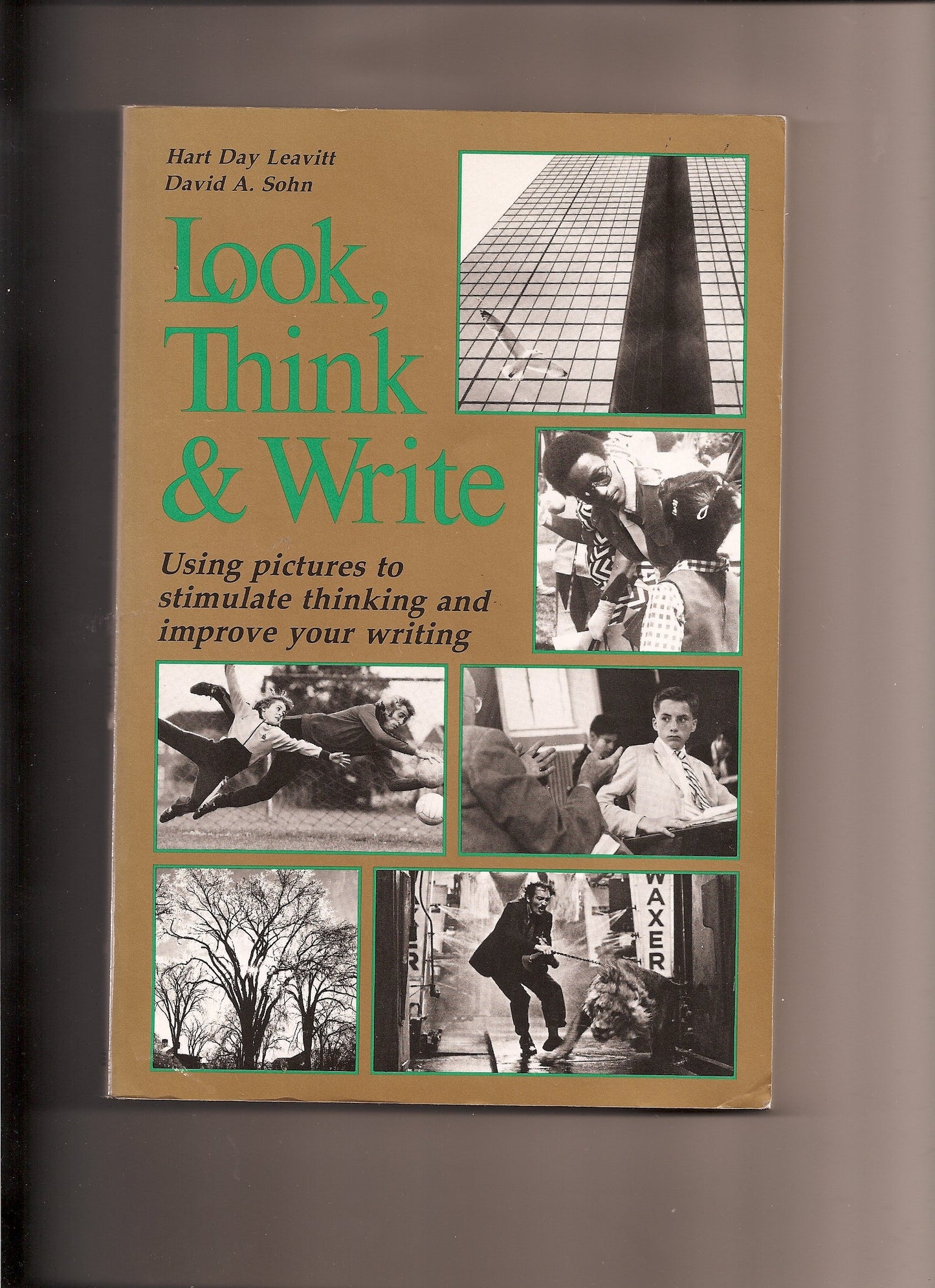 Look, Think and Write: Using Pictures to Stimulate Thinking and Improve Your Writing