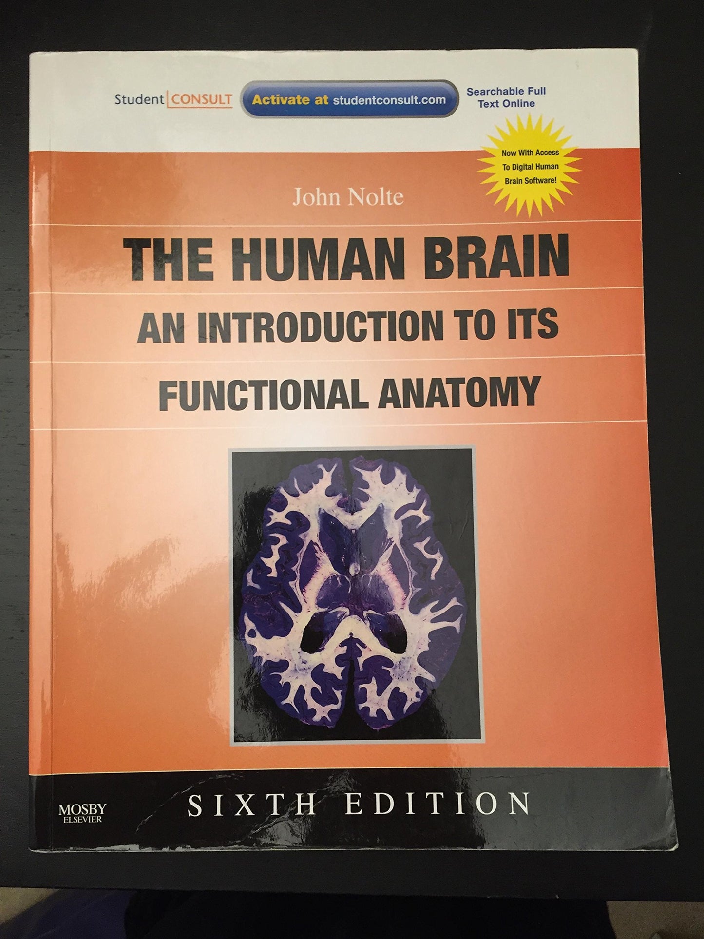 The Human Brain: An Introduction to Its Functional Anatomy
