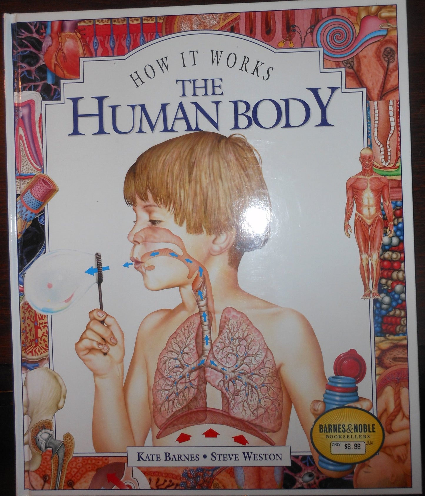 The Human Body (How It Works)