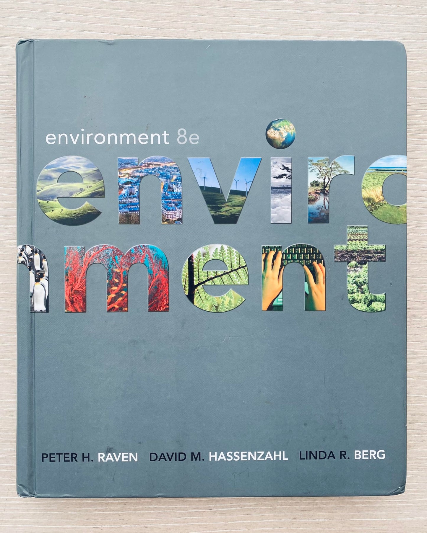 Environment: High School Edition