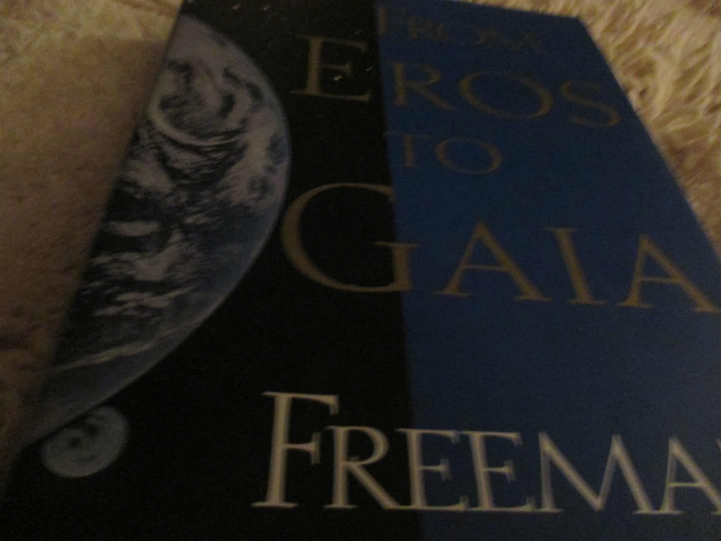 From Eros to Gaia