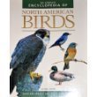 Encyclopedia of North American Birds