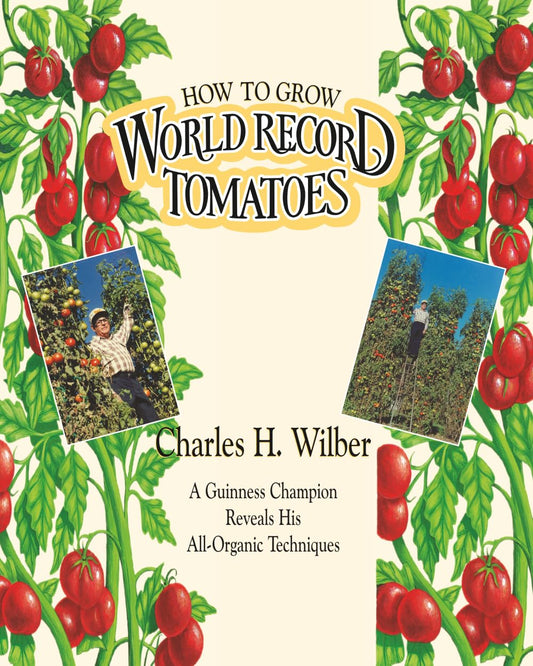 How to Grow World Record Tomatoes: A Guinness Champion Reveals His All-Organic Secrets