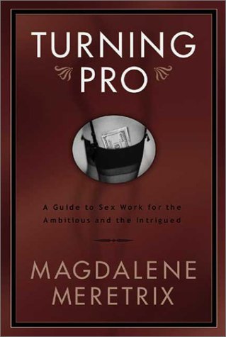 Turning Pro: A Guide to Sex Work for the Ambitious and the Intrigued