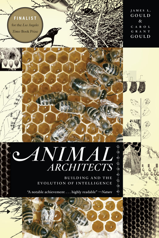 Animal Architects: Building and the Evolution of Intelligence