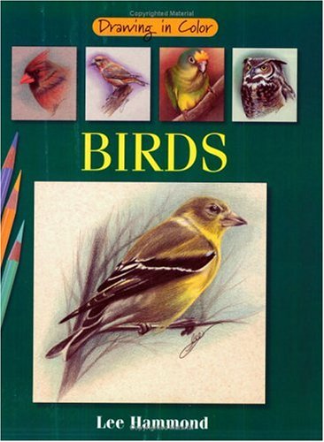 Birds (Drawing in Color)