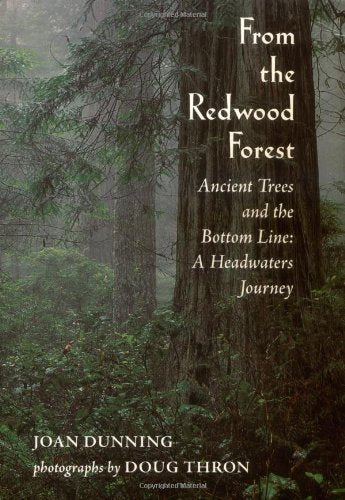 From the Redwood Forest : Ancient Trees and the Bottom Line: A Headwaters Journey