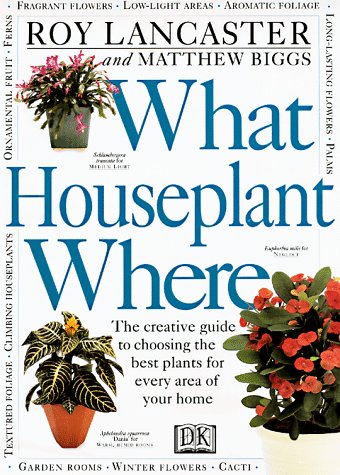 What Houseplant Where