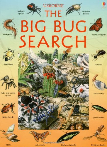 The Big Bug Search (Look/Puzzle/Learn Series)