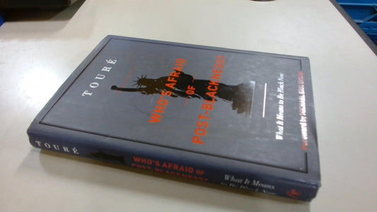 Who's Afraid of Post-Blackness?: What It Means to Be Black Now