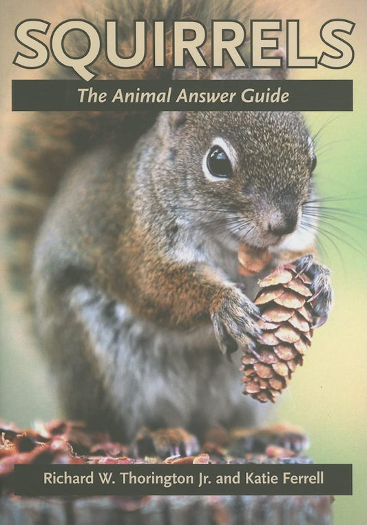 Squirrels: The Animal Answer Guide (The Animal Answer Guides: Q&A for the Curious Naturalist)