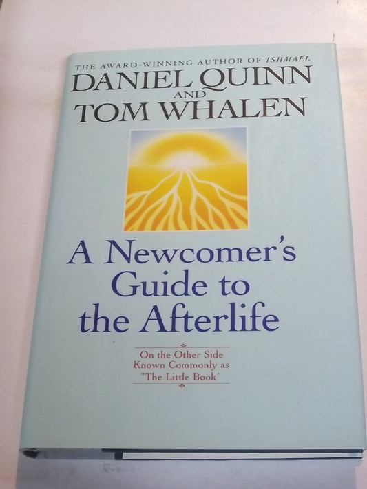 A Newcomer's Guide to the Afterlife