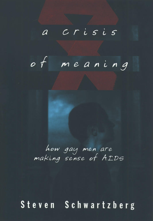 A Crisis of Meaning: How Gay Men Are Making Sense of AIDS