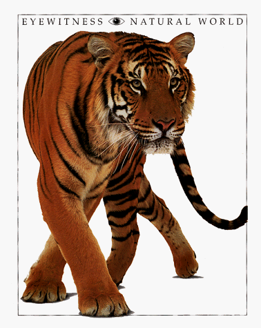 Eyewitness Natural World (Companion to the Pbs Series)