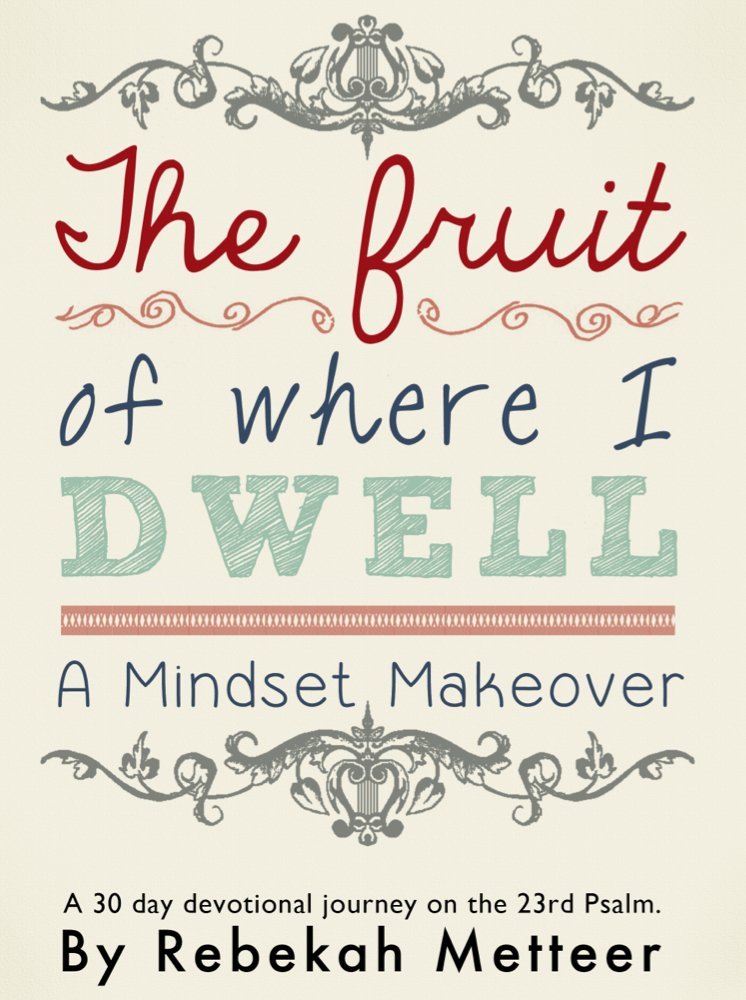The Fruit Of Where I Dwell: A Mindset Makeover