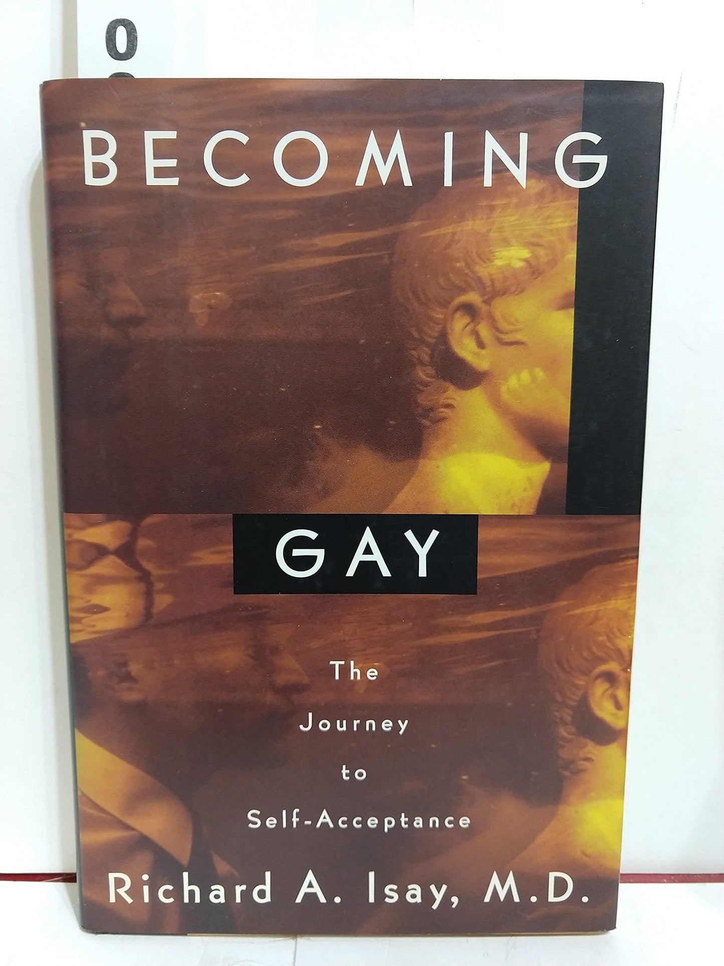 BECOMING GAY: The Journey to Self-Acceptance