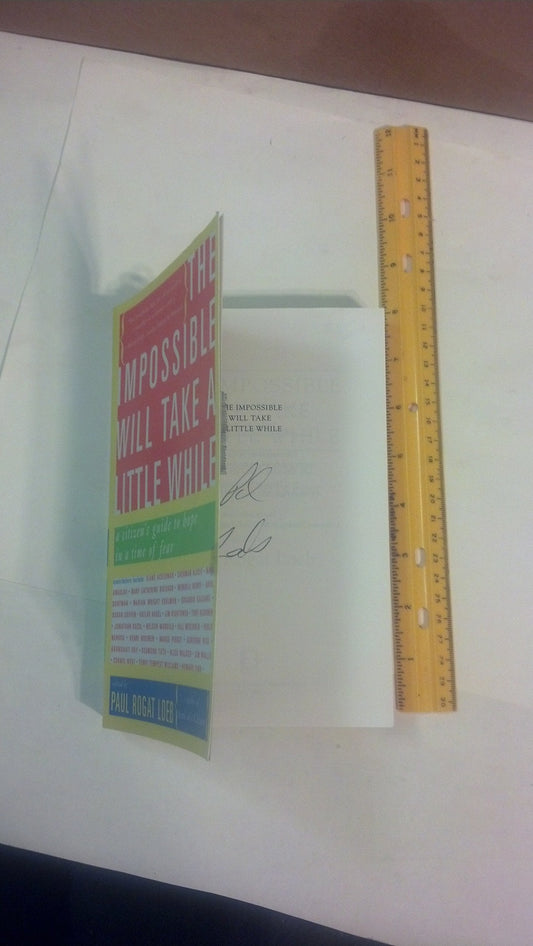 The Impossible Will Take a Little While: A Citizen's Guide to Hope in a Time of Fear
