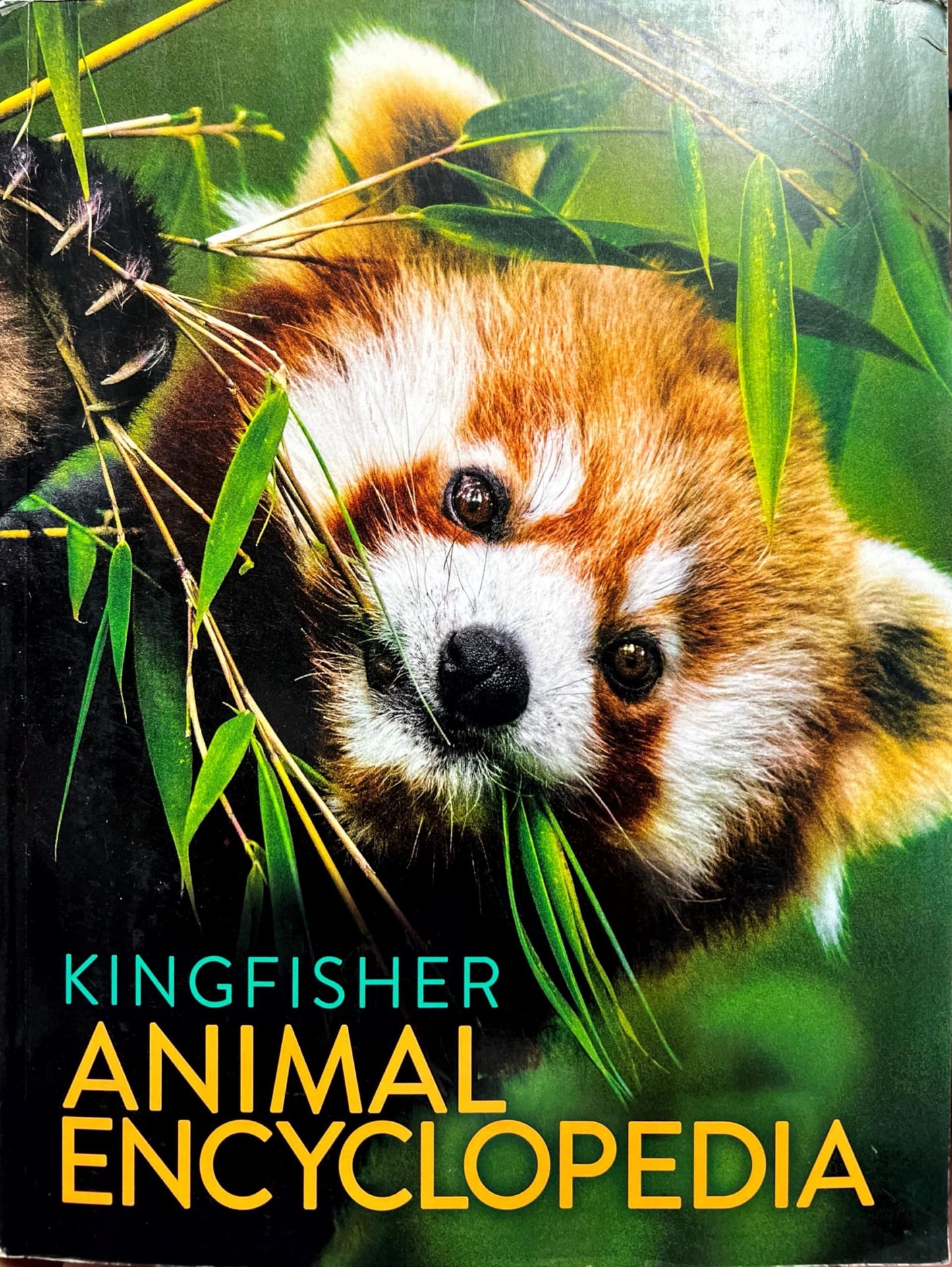 Kingfisher Animal Encyclopedia