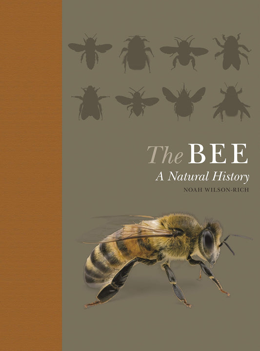 The Bee: A Natural History
