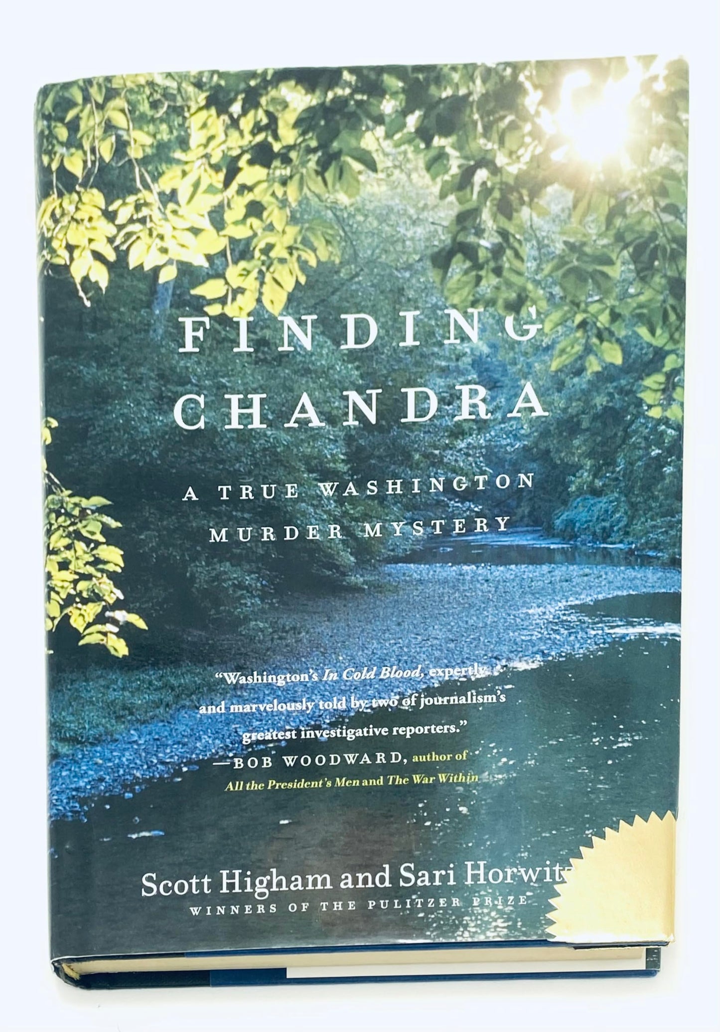 Finding Chandra: A True Washington Murder Mystery