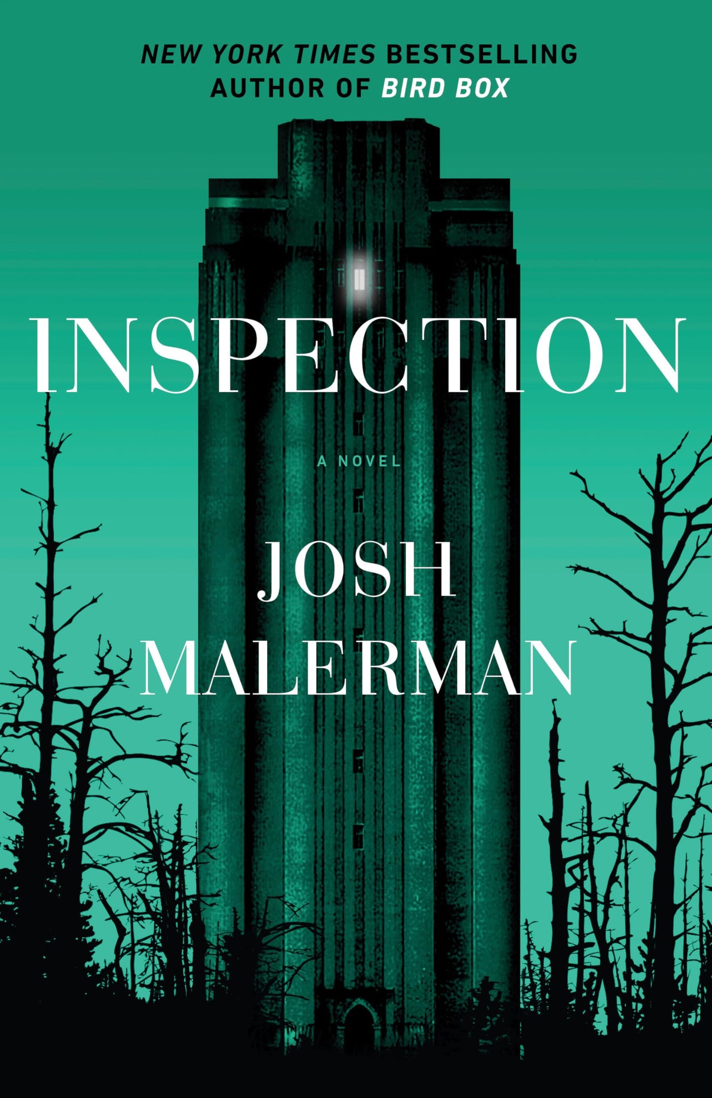 Inspection: A Novel