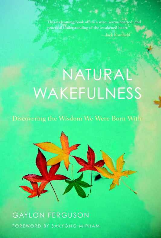 Natural Wakefulness: Discovering the Wisdom We Were Born With