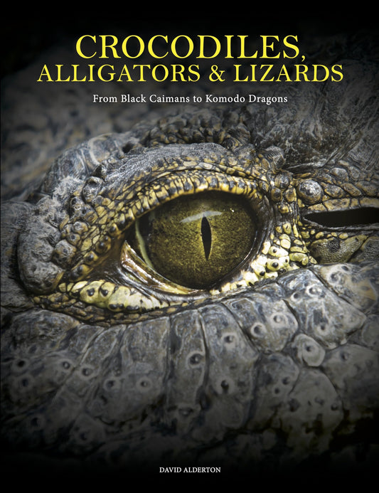 Crocodiles, Alligators & Lizards: From Black Caimans to Komodo Dragons (Animals in Photographs)