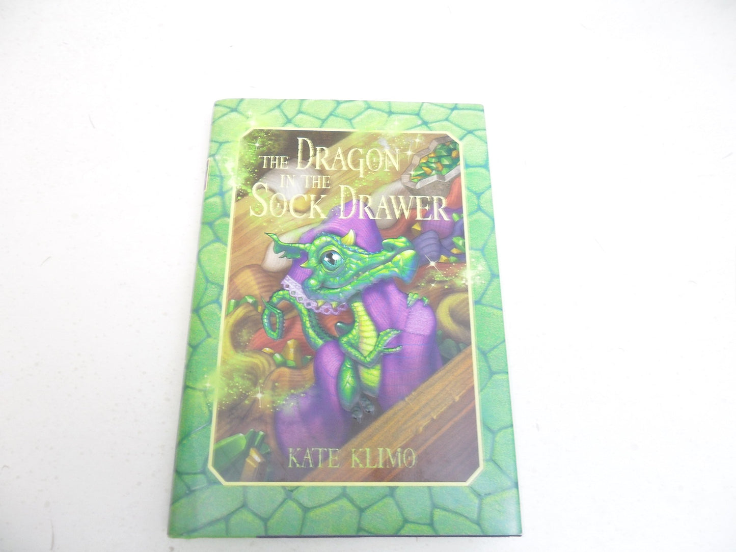 The Dragon in the Sock Drawer (Dragon Keepers #1)