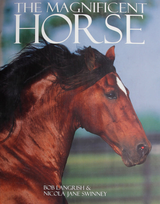 The Magnificent Horse (Coffee Table)