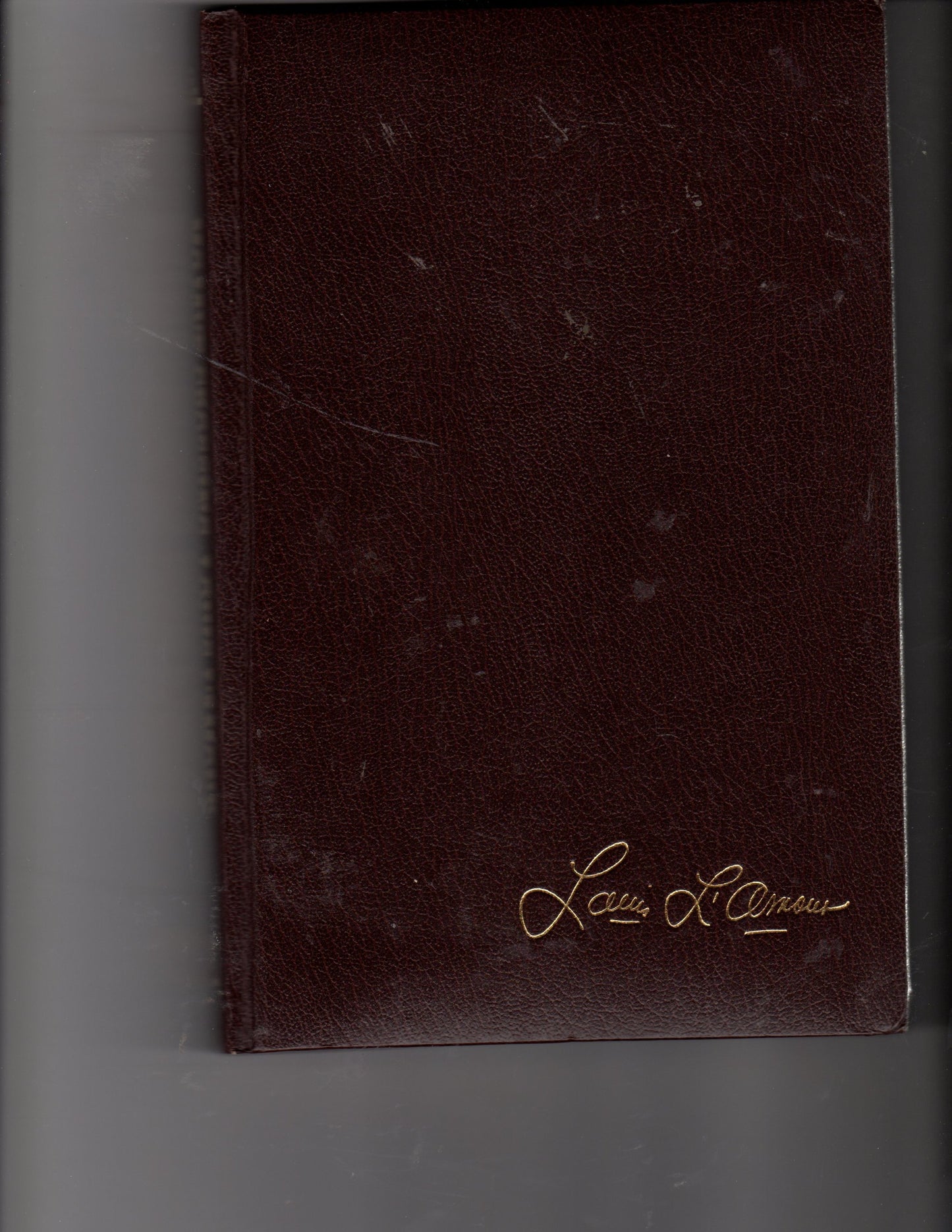 Mojave Crossing (Louis L'Amour Collection)