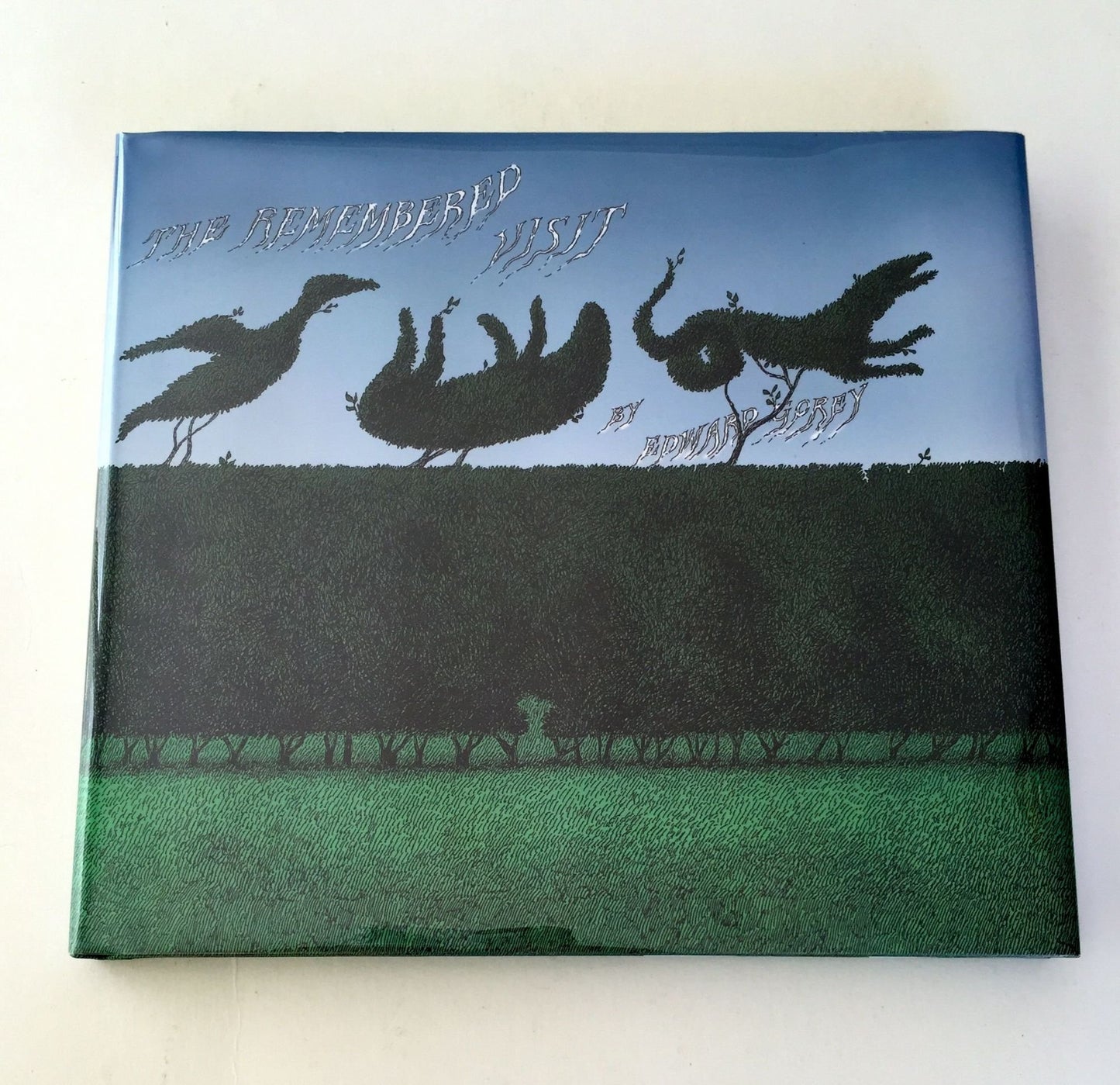 The Remembered Visit: A Story Taken from Life