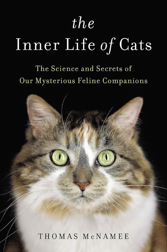 The Inner Life of Cats: The Science and Secrets of Our Mysterious Feline Companions