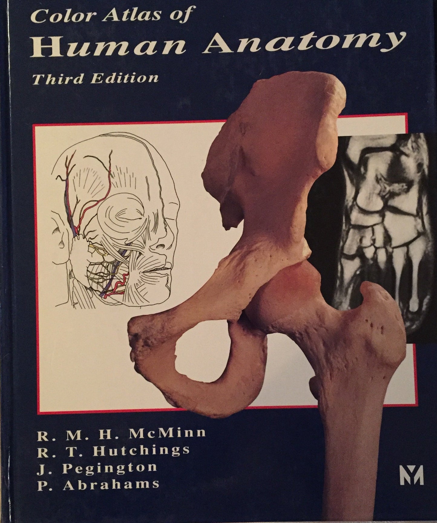 Color Atlas of Human Anatomy