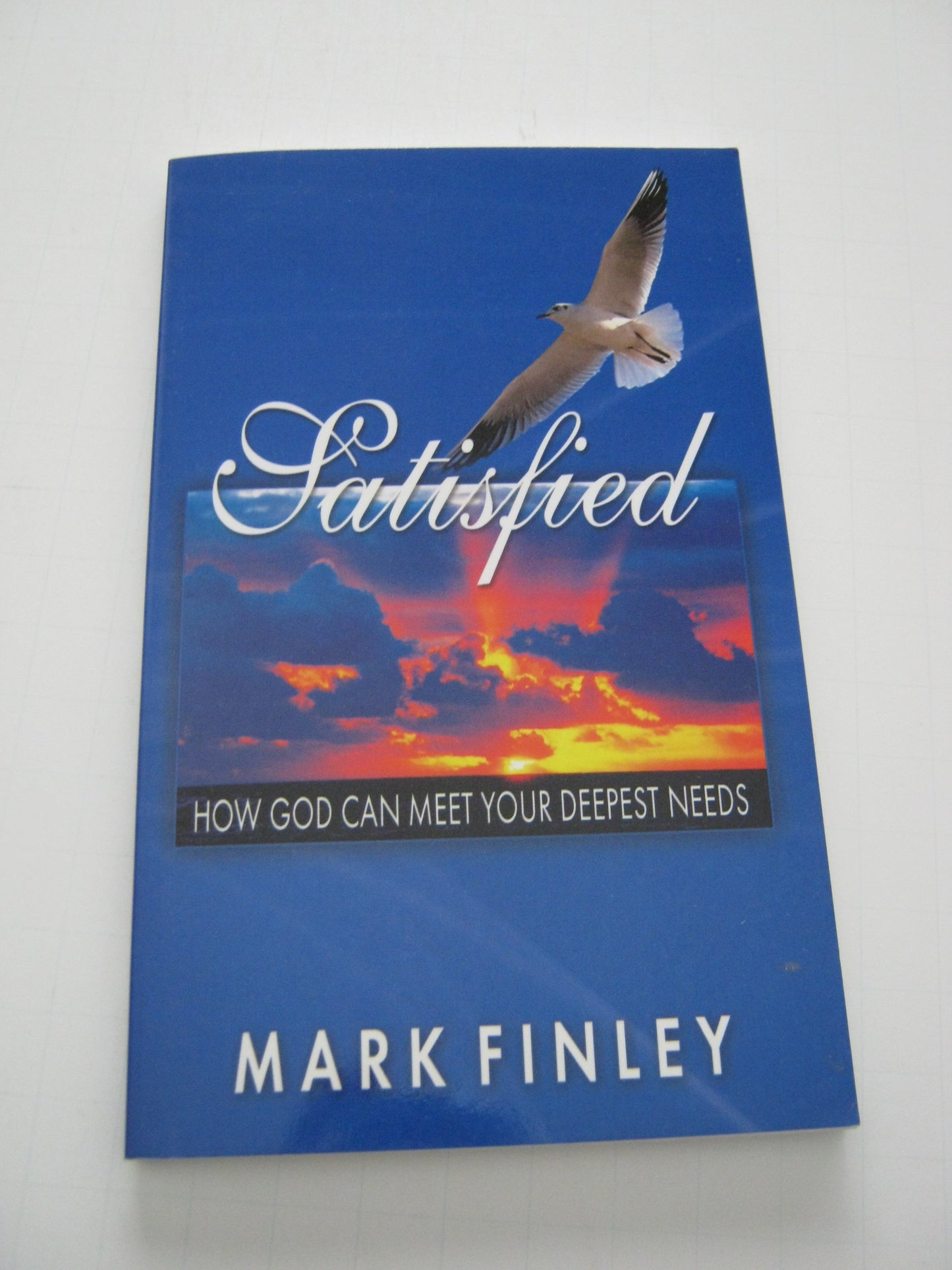 Satisfied: How God Can Meet Your Deepest Needs