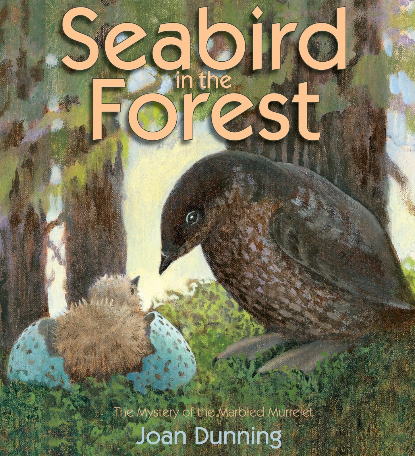 Seabird in the Forest: The Mystery of the Marbled Murrelet