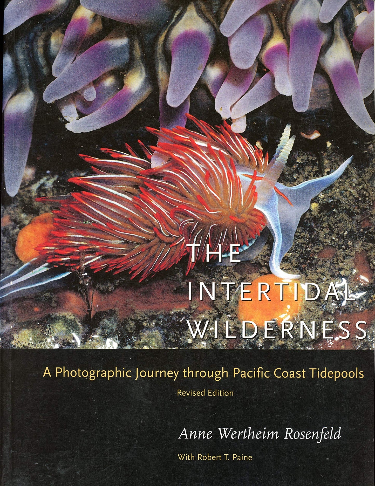 Intertidal Wilderness A Photographic Journey Through Pacific Coast Tidepools
